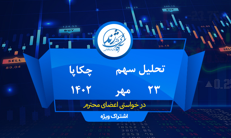 تحلیل آموزشی سهم چکاپا